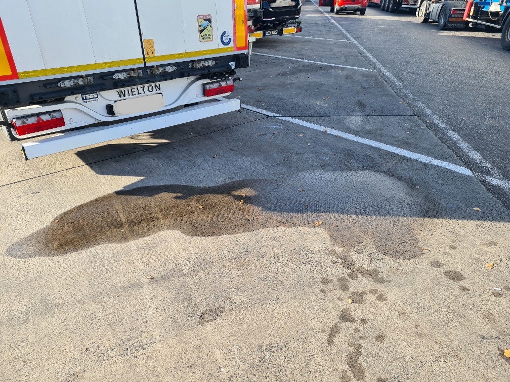 20241021_153953_resized bearbeitet.jpg